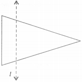 tiwari academy class 6 maths Chapter 13 Symmetry 16